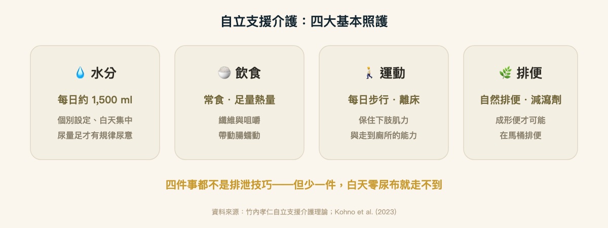 自立支援介護的四大基本照護：水分、飲食、運動、排便
