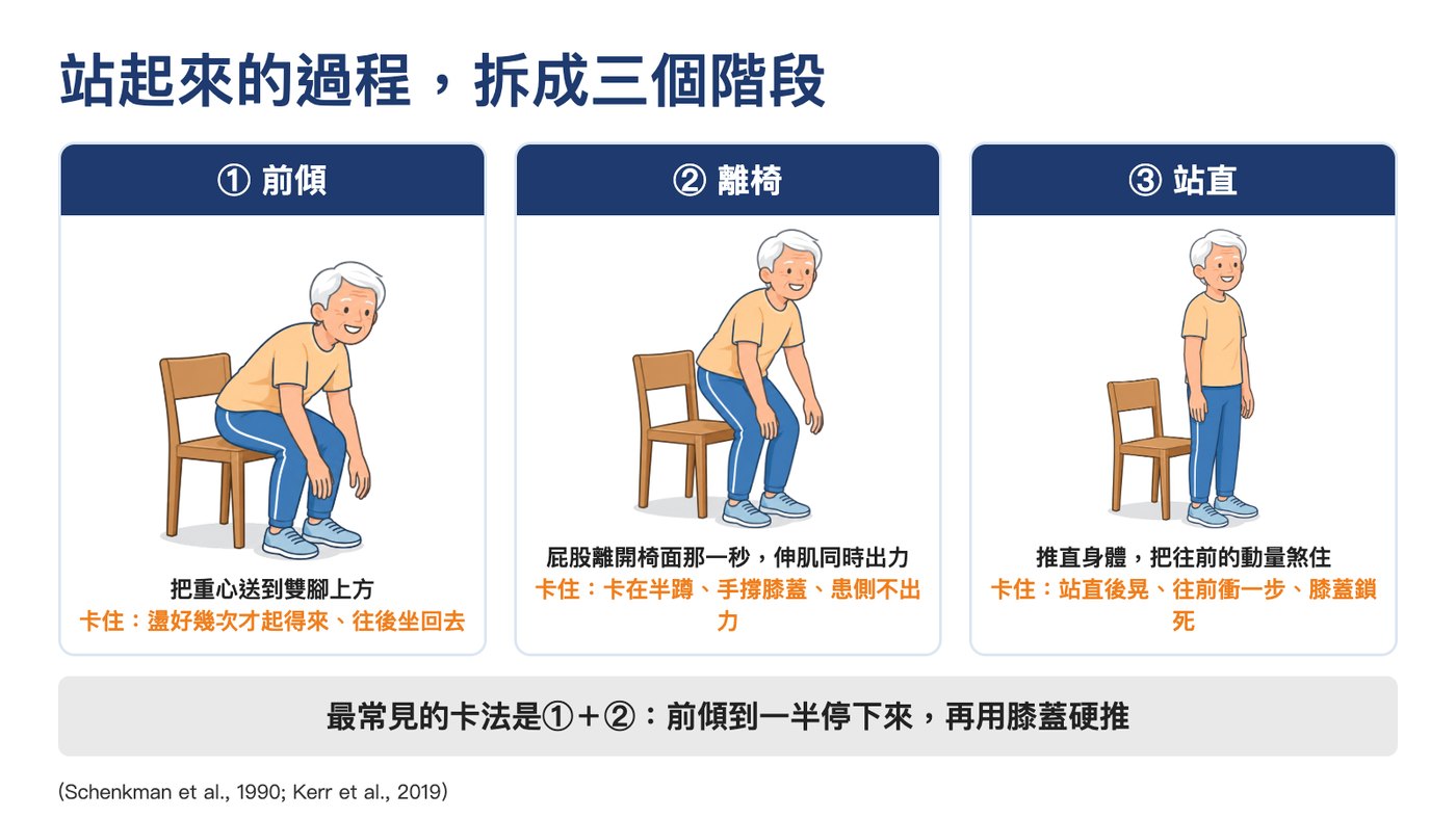 坐站三階段:前傾、離椅、站直